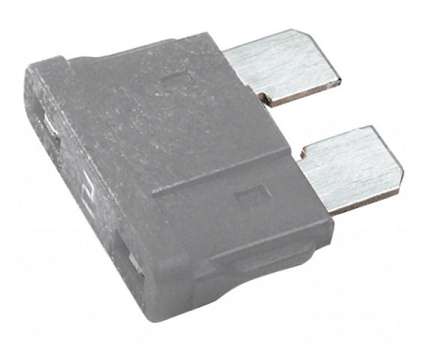 STANDARD BLADE FUSE 2A 5 PK