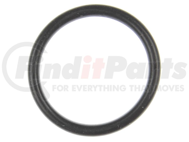 ~(0 lbs. 8X5X0)~ 03-11 Chrysler Mitsubishi VW. Idle air control o-ring 21mm ID