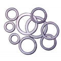 Fragola Washer For 491952/957/958/975 976 - 7/8in I.D.
