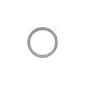 Engine Oil Drain Plug Gasket - 41-71019-00