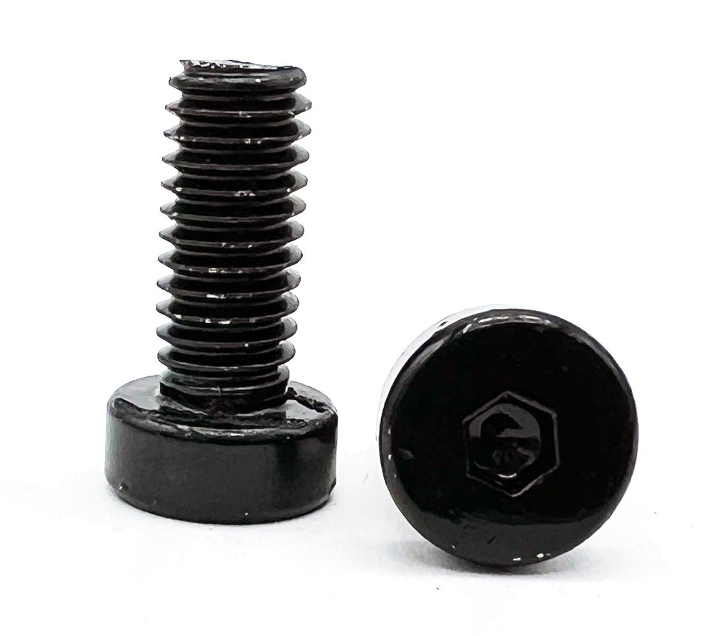 M6X12 LOW PROFILE HEXHEAD CAP SCREW