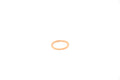 ENGINE OIL SEAL RING
