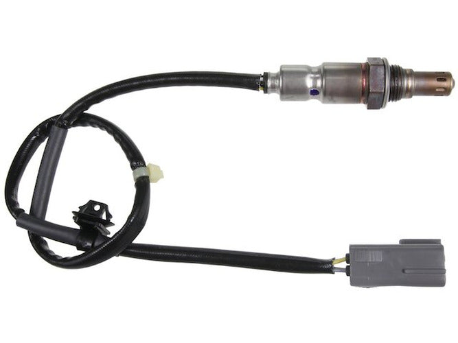 HOLE PLUG-BLACK