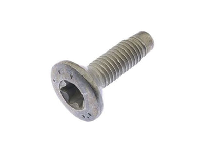 ***Discontinued***JL/JT Hinge Torx Screw