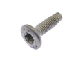 ***Discontinued***JL/JT Hinge Torx Screw