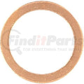 Engine Oil Drain Plug Gasket - 41-70168-00