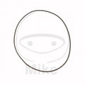 Athena 09-10 Husqvarna TE Husqvarna Engine 310 O-Ring NBR