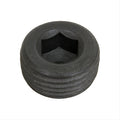 PIPE PLUG 1/2
