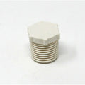 3/4IN NTP P/S PLUG