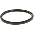 ENGINE COOLANT THERMOSTAT SEAL