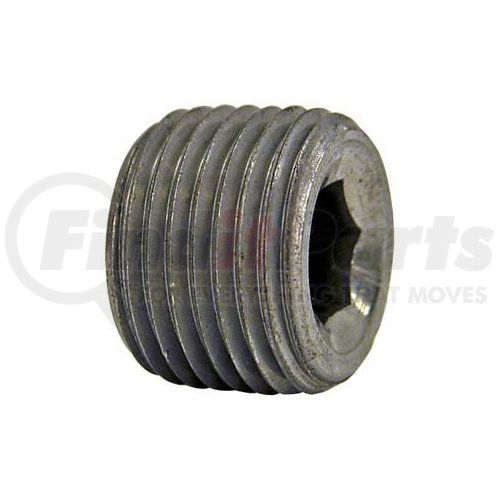 PLUG, HEX SOCKET 1/4
