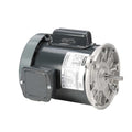 EX.PLUG-STEEL-DEEP CUP-1-3/8'