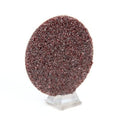 3M ROLOC DISC TR 361F 1-1/2 IN