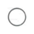 ENGINE BLOCK DRAIN PLUG SEAL