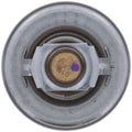MOTORAD auto part close-up