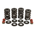 0.600" Valve Lift Dual Chrome Silicone Spring Kit
