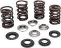 0.600" Valve Lift Dual Chrome Silicone Spring Kit