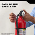 Pro 210 Commercial Fire Extinguisher 2-A:10-B:C