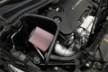 69 Series Typhoon Cold-Air Intake System