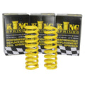 Rear Raised Coil Springs