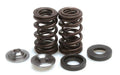 Engine Spring Kit