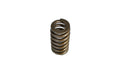 Upgraded Valve Spring Kit