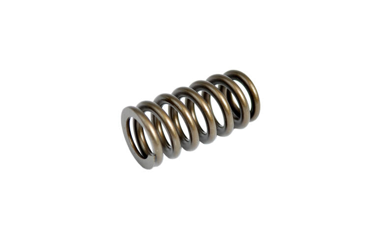 Upgraded Valve Spring Kit
