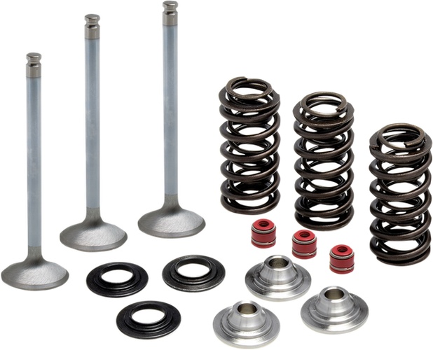 Valve Spring Kit