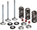 Valve Spring Kit