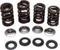 Valve Spring Kit