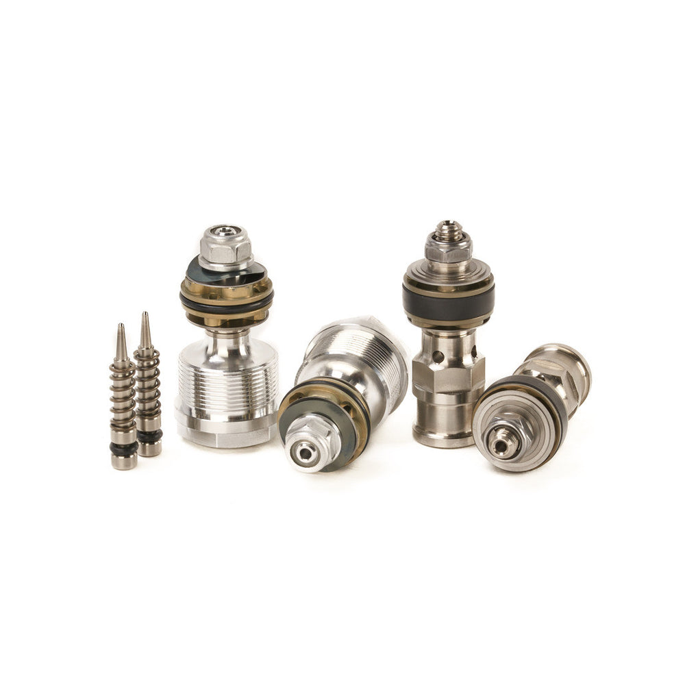 Race-Level Damping Control Kit