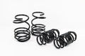 H5S.TW Spring Steel Lowering Springs