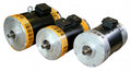 EV Traction Motor