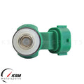 4-Hole Petrol Gas Fuel Injector