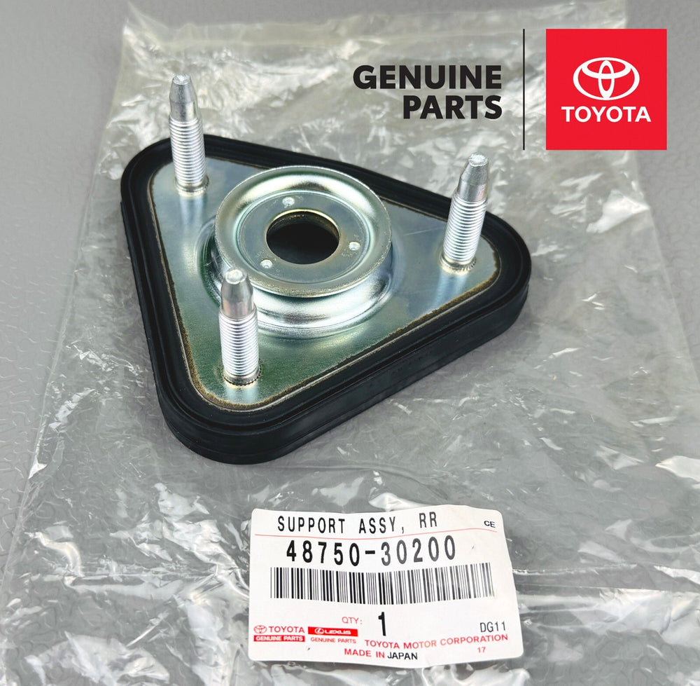 Rear Suspension Support Assembly