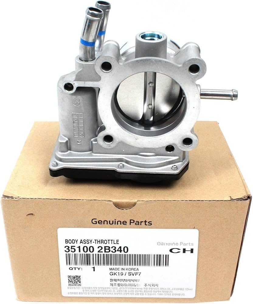 1.6L Turbo Throttle Body Assembly
