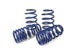 Lowering Spring Kit
