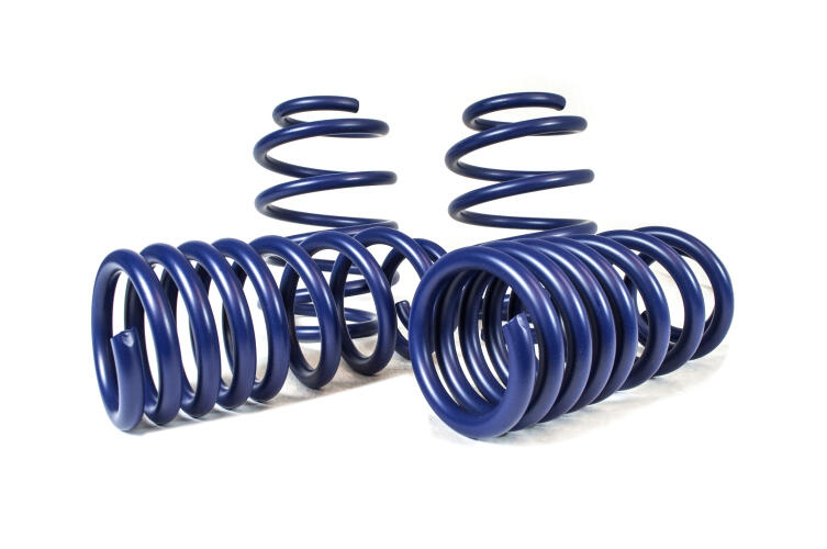 Lowering Spring Kit