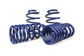 Lowering Spring Kit