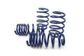 Lowering Spring Kit