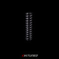 Detent Spring