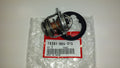 Engine Coolant Thermostat