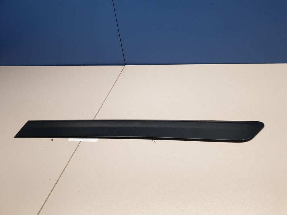 Body Side Molding Set