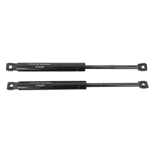 Hood Lift Struts