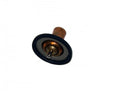 GM Gen V 160 Degree Thermostat