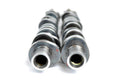 Stage 3 Camshaft Kit 4.6L/5.4L 3V