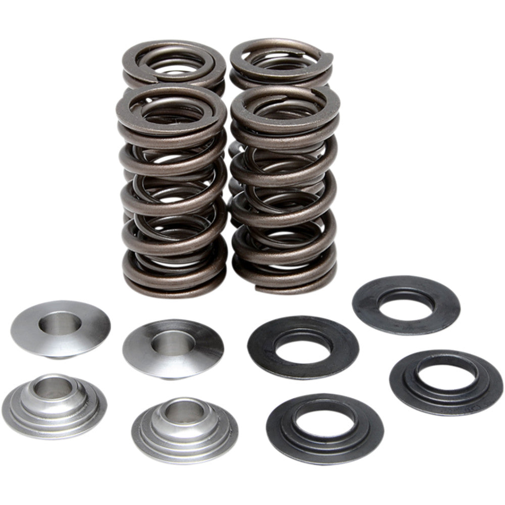 Black Diamond Valve Spring Kit