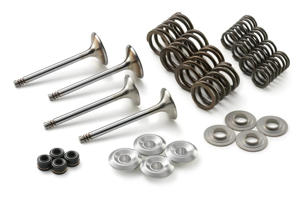 Valve Repair Kit