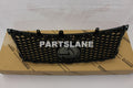 Radiator Grille
