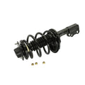Strut-Plus Coil Springs